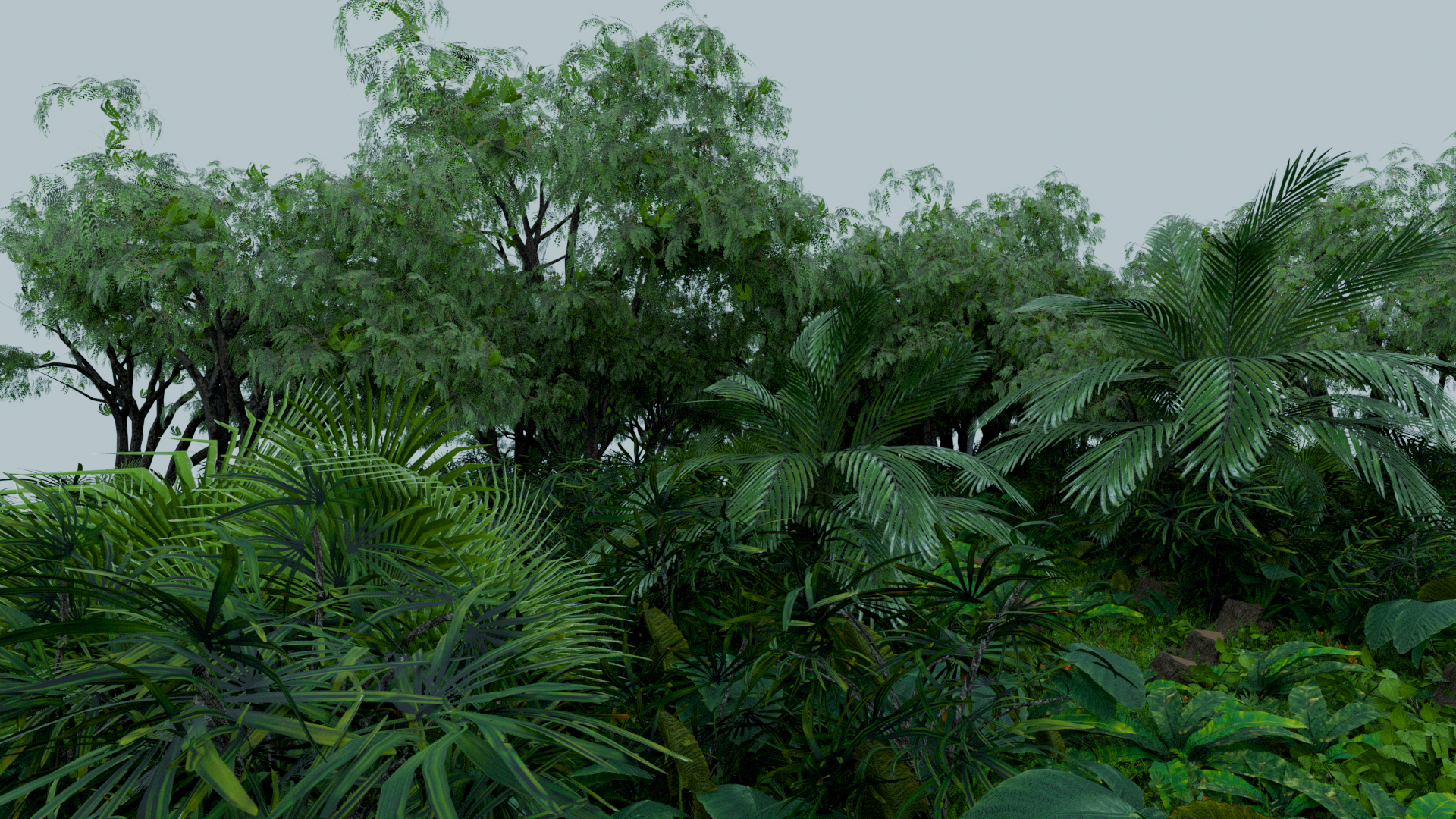 synthetic_forest